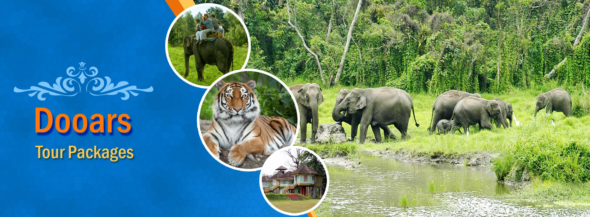 Dooars Tour