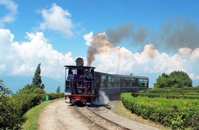Darjeeling Tour