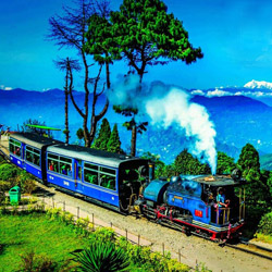 Darjeeling Tour